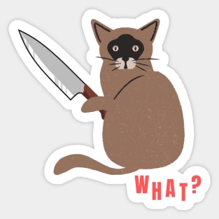 What? Murderous Cat Funny Design for Cat Lovers Sticker